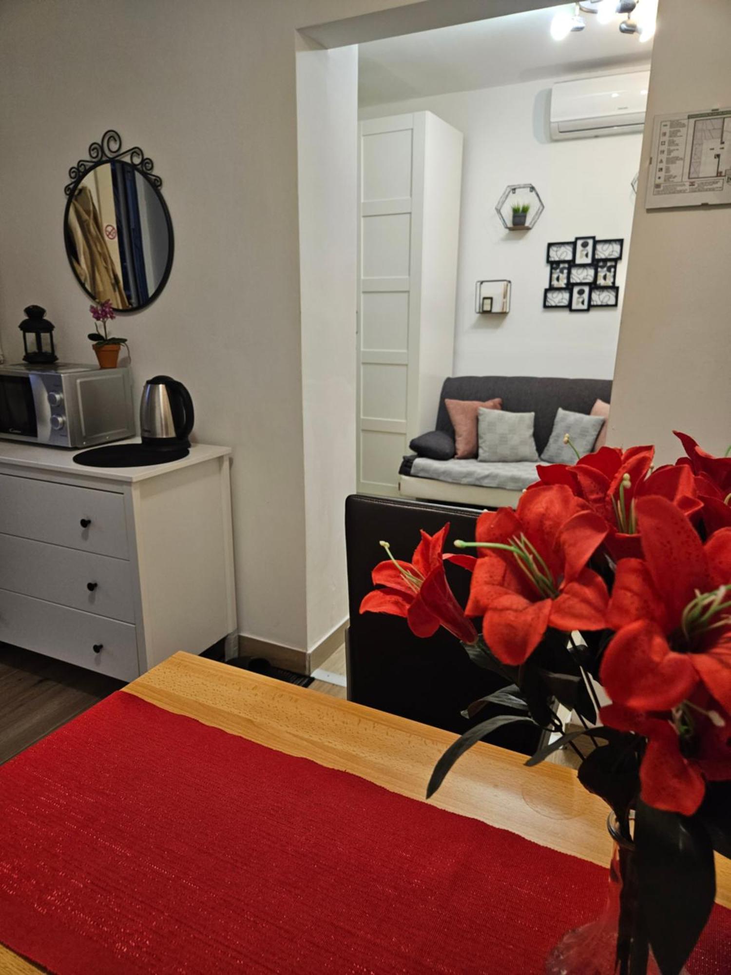 Apartment Maja - Strict Center Of 자그레브 외부 사진