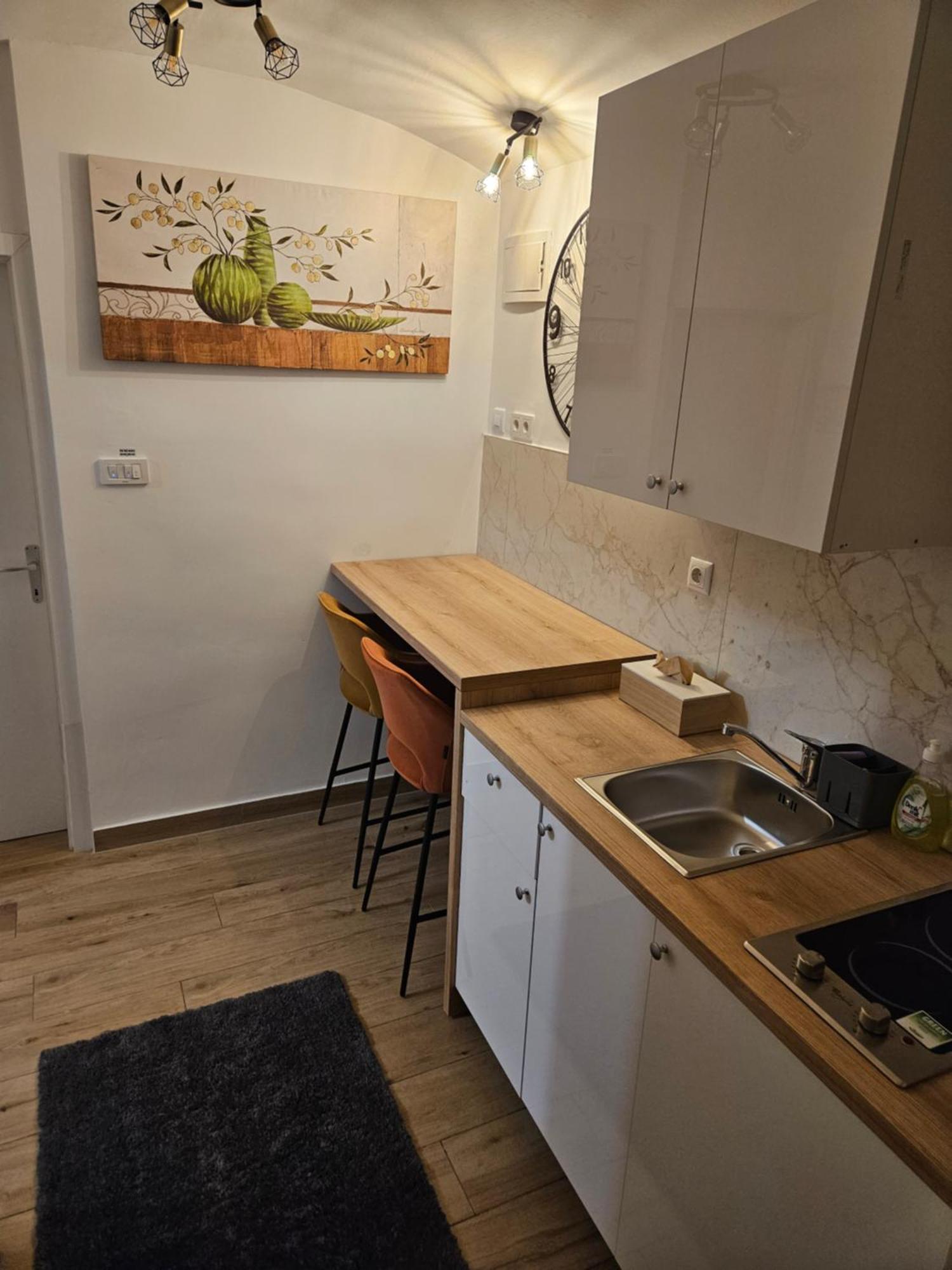 Apartment Maja - Strict Center Of 자그레브 외부 사진