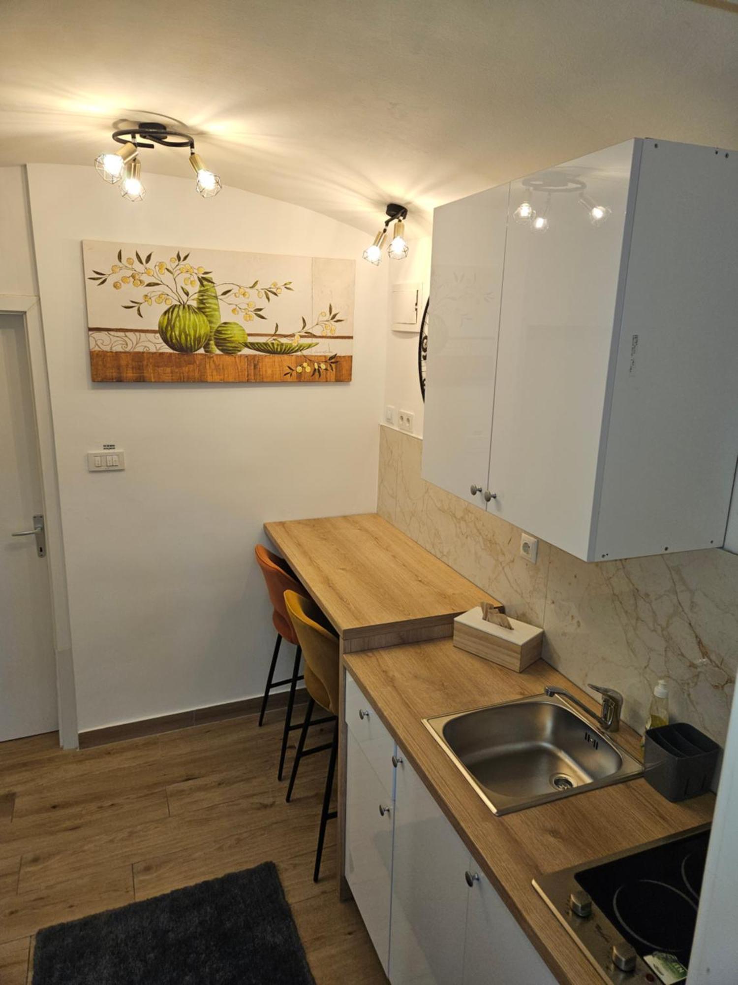 Apartment Maja - Strict Center Of 자그레브 외부 사진